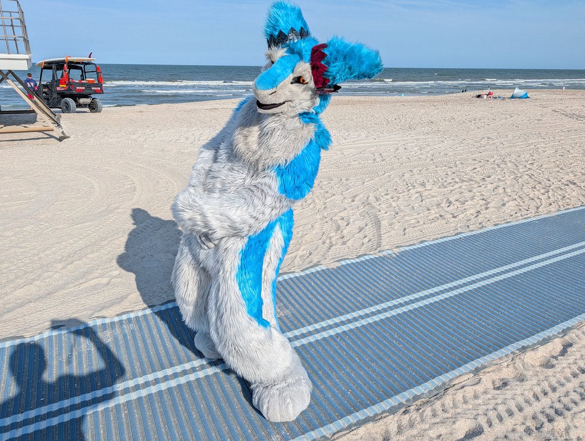 Rascal (@fluffarian) / Posts / X