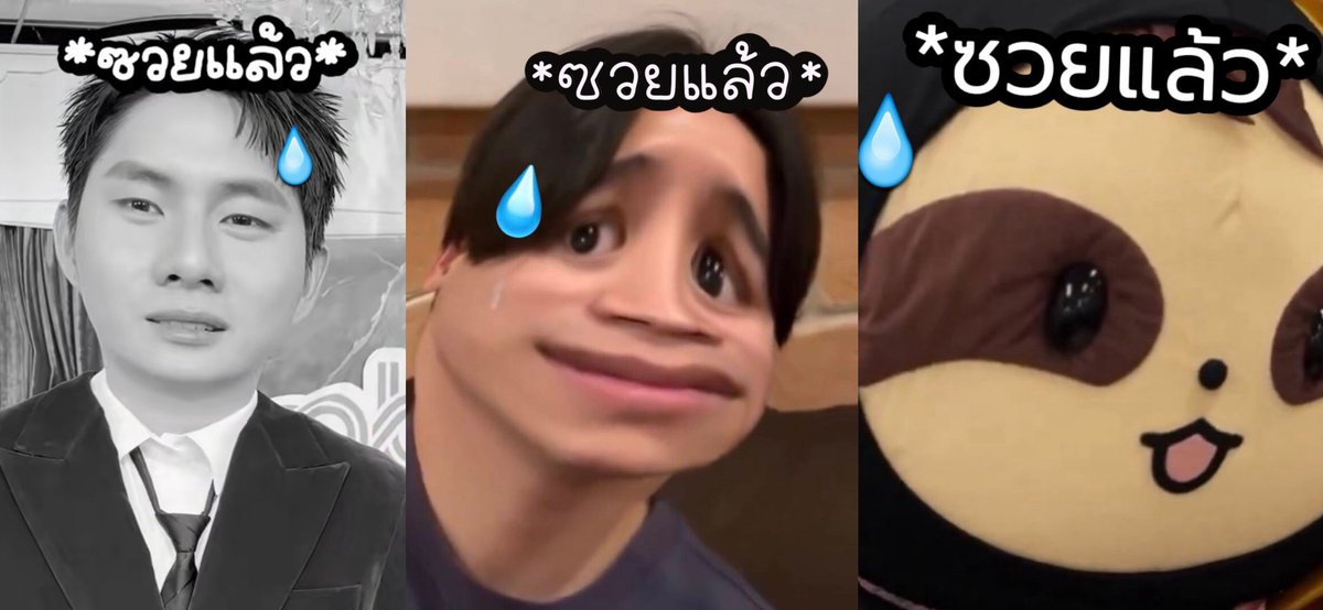 หนึ่งสองหนึ่งหก (🦥💰) tweet media