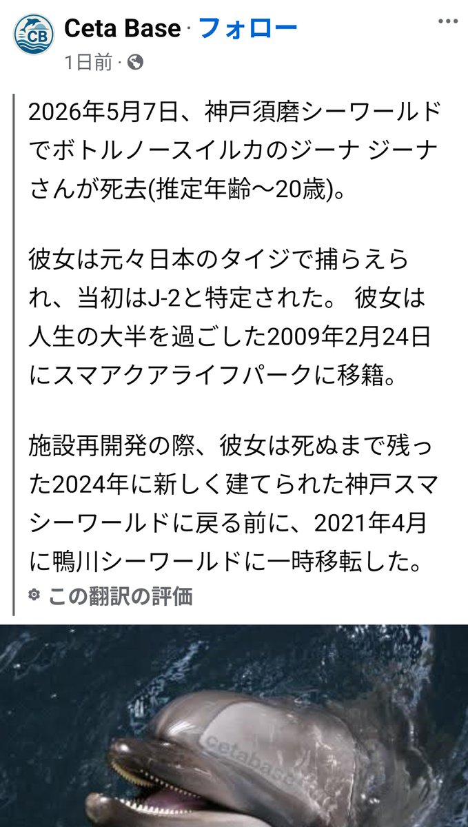 VEGANさっち~♥迫害され続ける動物の声 tweet media
