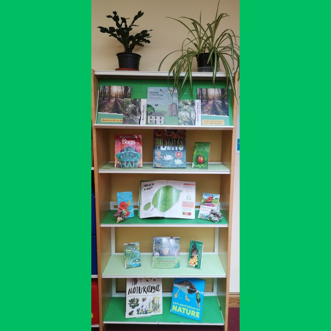 galwaycitylib's tweet photo. Check out our new display in the Juvenile Library for National Biodiversity Week.
#Books #Display #Biodiversity #AtYourLibrary
@LibrariesGalway @GalwayCoCo @GalwayCityCo https://t.co/RnZJ2AJkdK