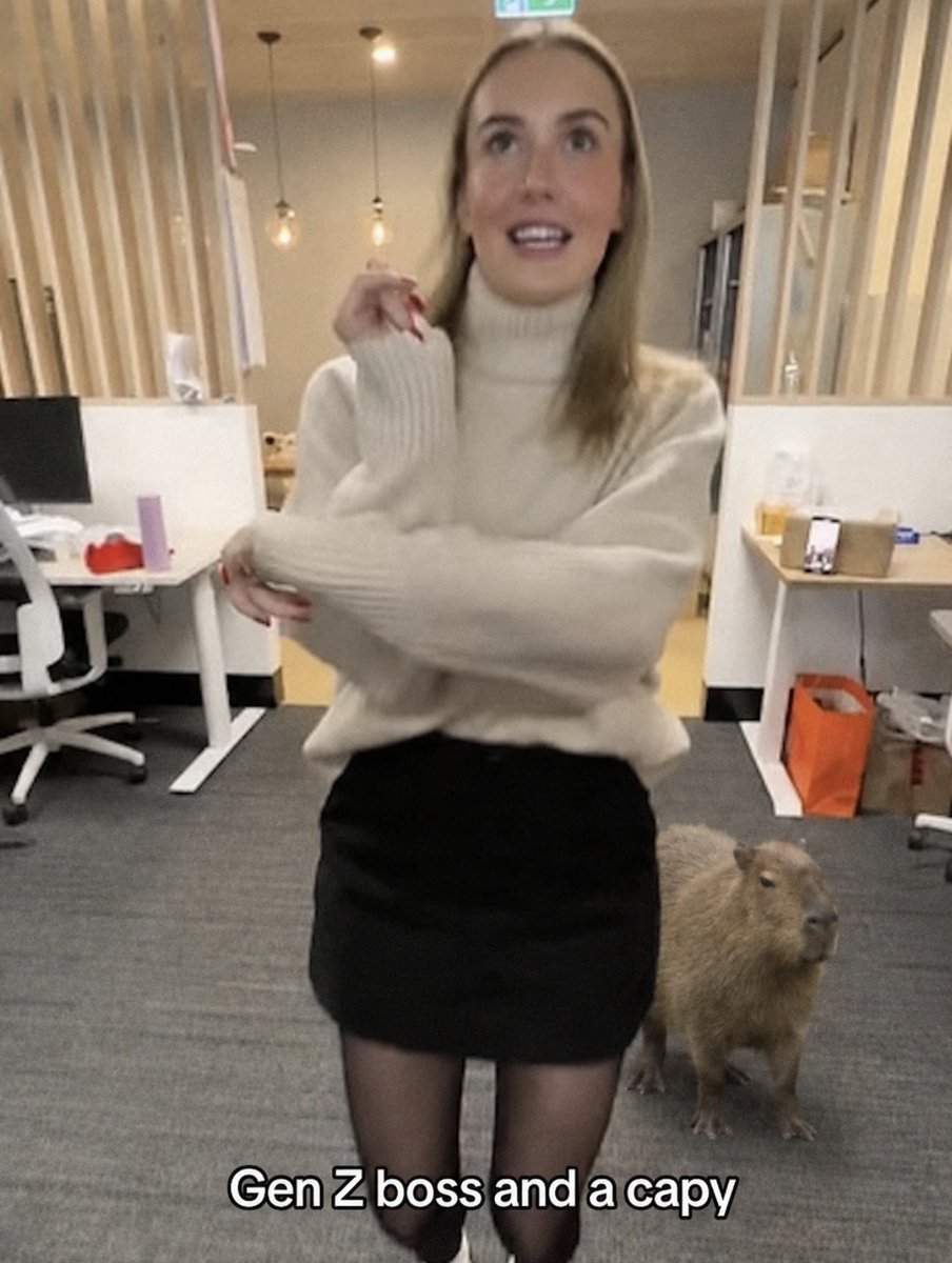capybara tweet media