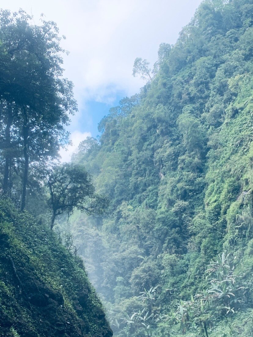 pepperonimee's tweet photo. kegiatan di awal bulan mei 🙂‍��️🍃 https://t.co/k4w7l1pLqW
