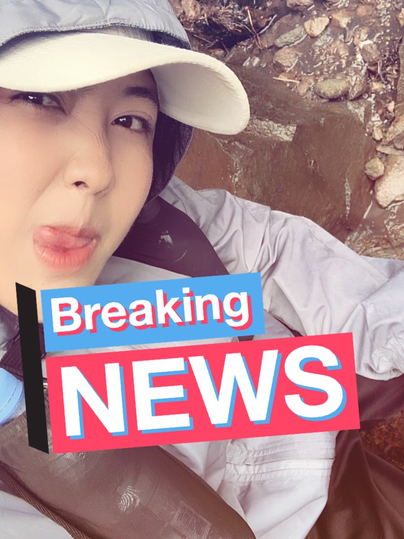 pepperonimee's tweet photo. kegiatan di awal bulan mei 🙂‍��️🍃 https://t.co/k4w7l1pLqW