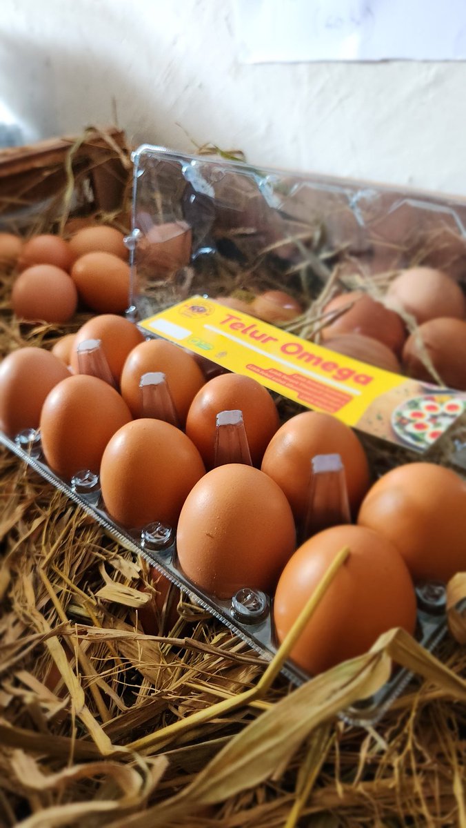 DimasRWidodo's tweet photo. Ada yg suka konsumsi Telur Omega setiap hari? https://t.co/aZsx3Pej66