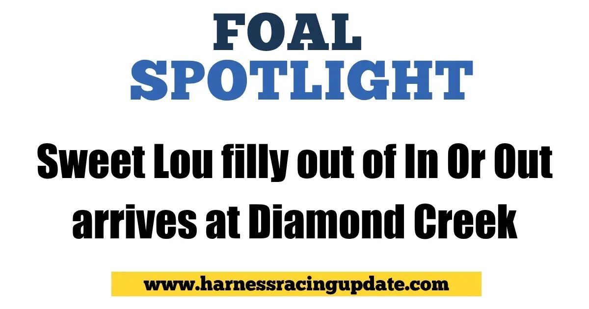 Harness Racing Update tweet media
