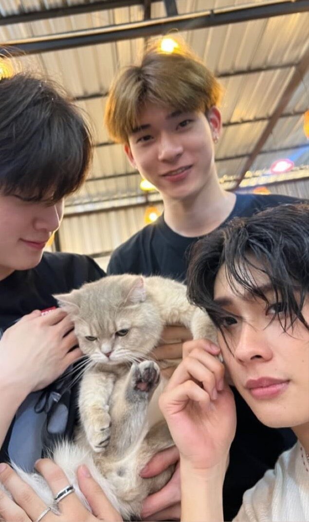 kai ❀ dwy tweet media