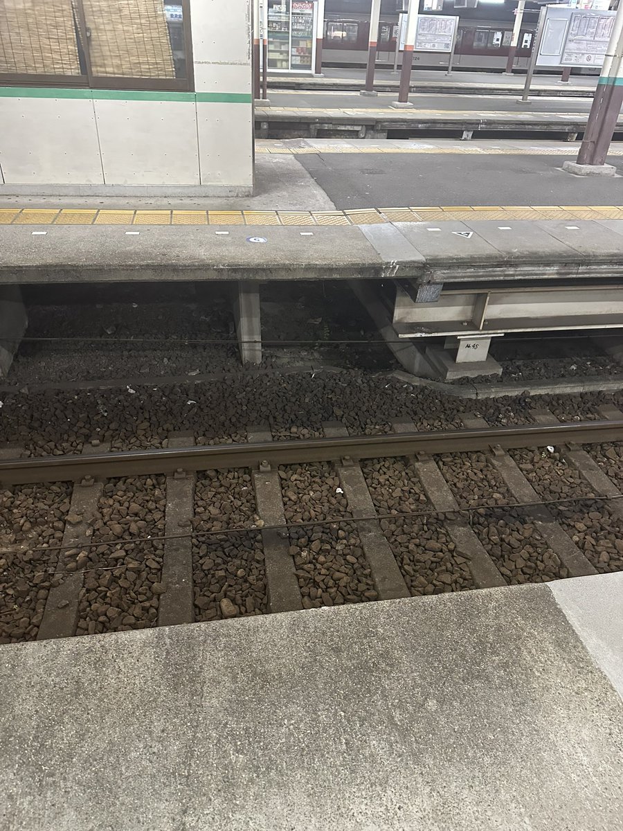 この幅って飛べるかな？