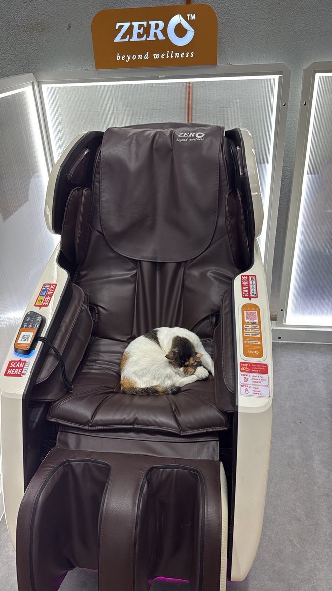 nhakims's tweet photo. Mok 🐈 https://t.co/kOxtX2OO7c