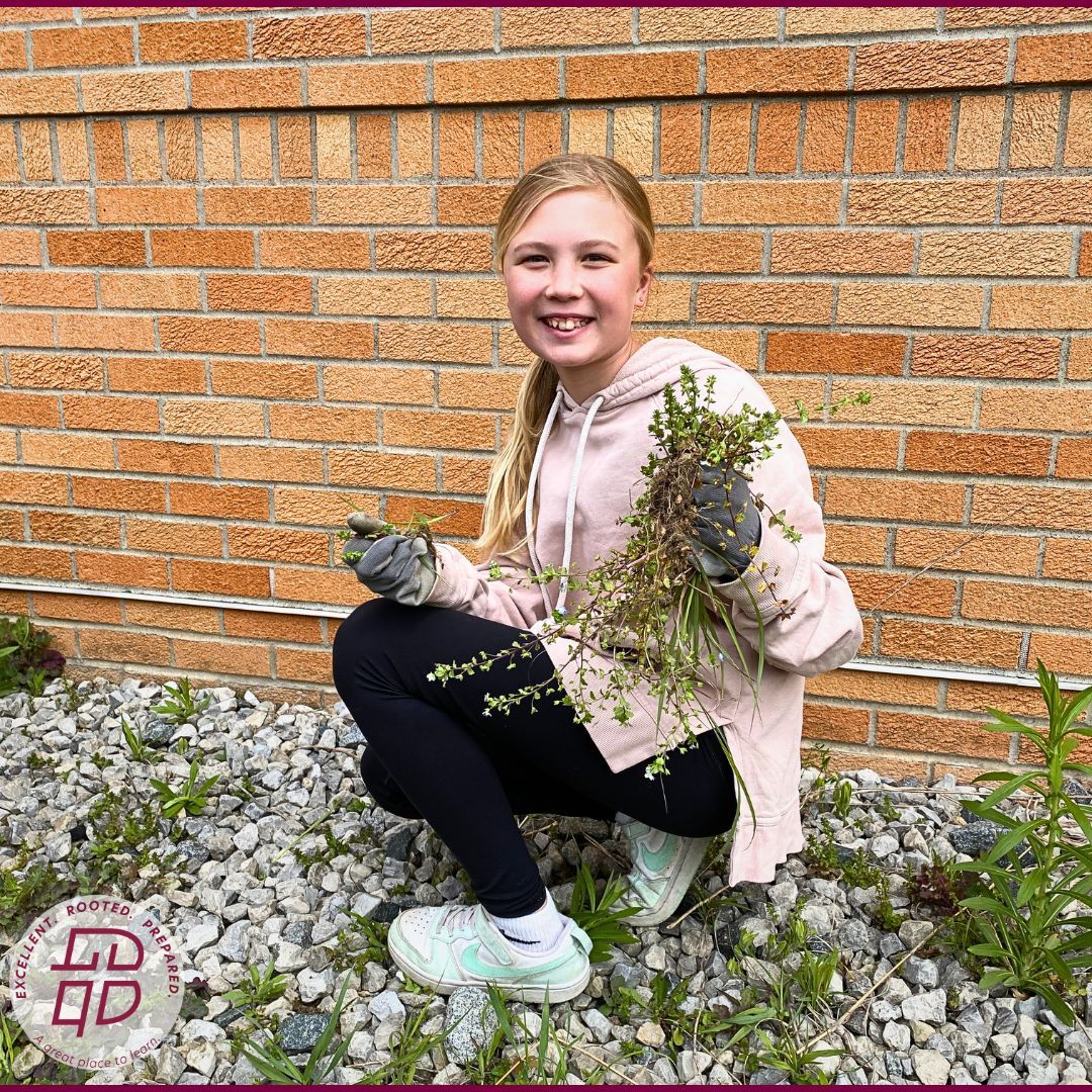Byron Center Christian School tweet media