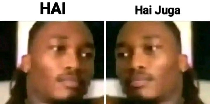 Ardi tweet media