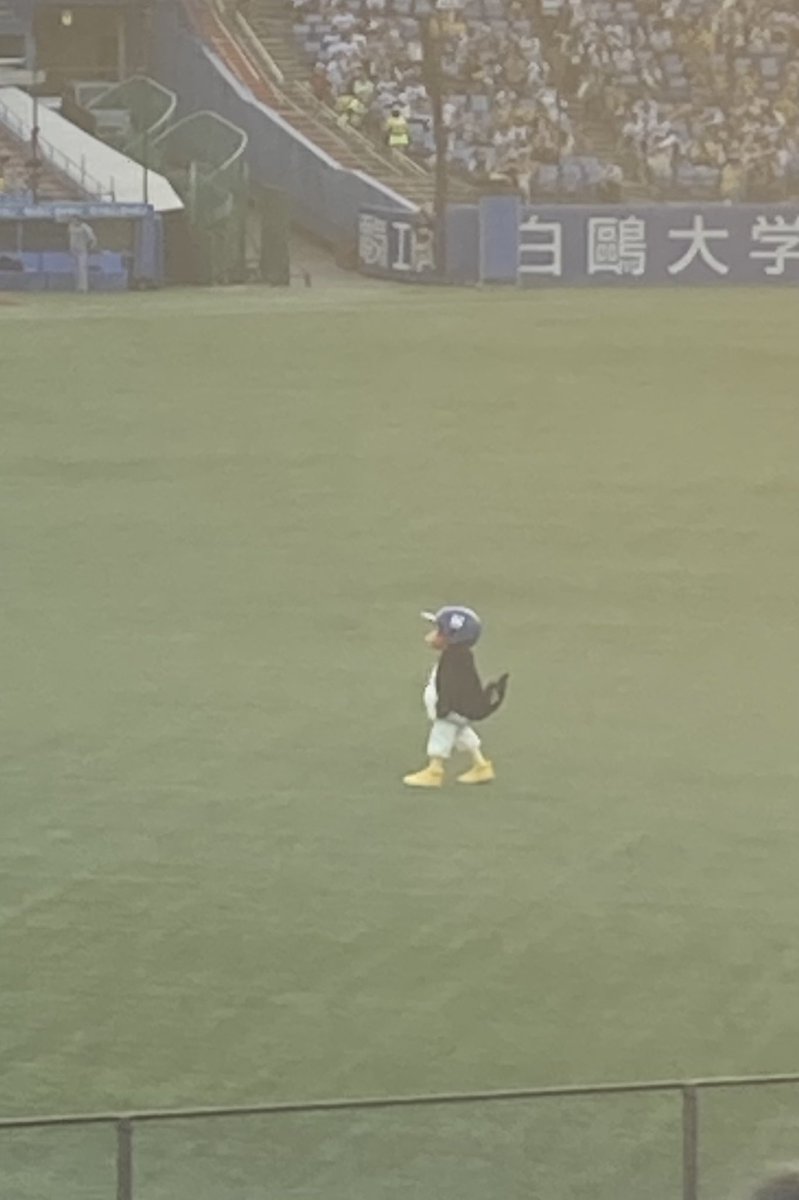 猫舌 tweet media