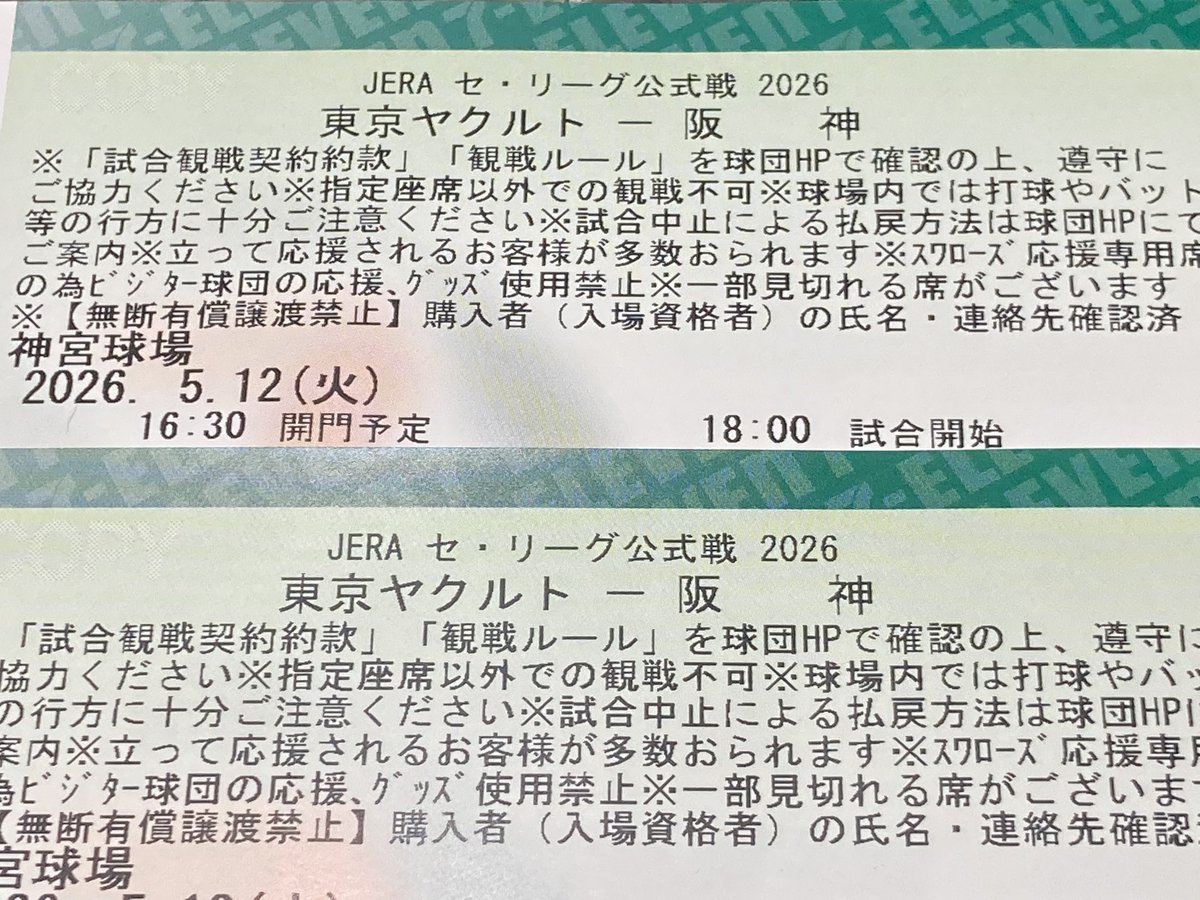 猫舌 tweet media