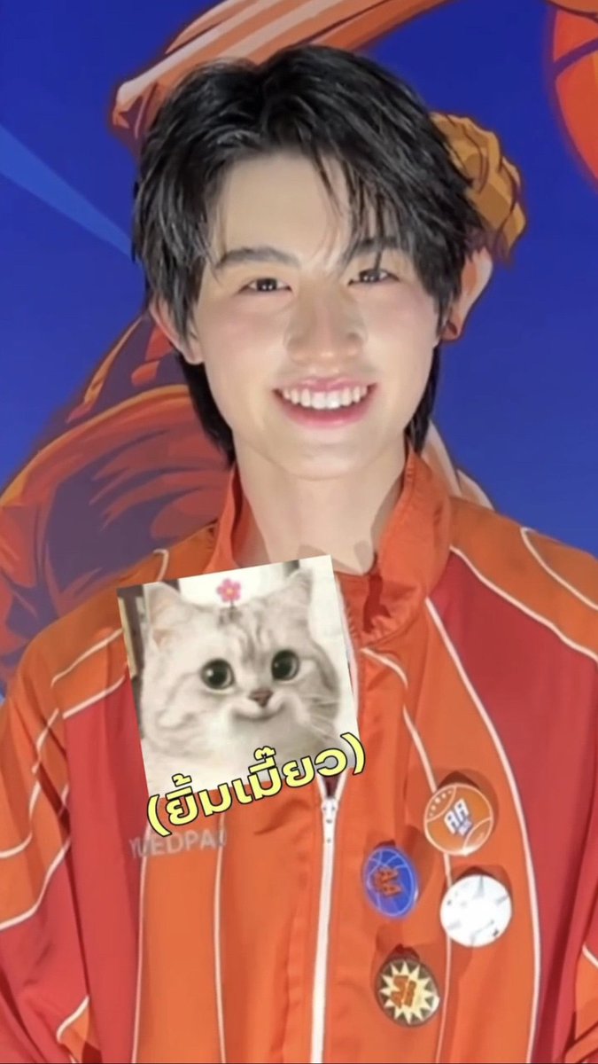디아 𓇼 tweet media