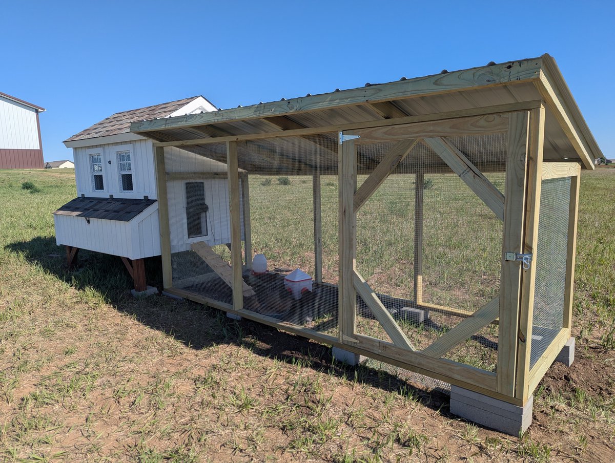 nathanlfischer's tweet photo. Coop and run complete. Hens will only need to lay ~5,300 eggs to break even on this bad boy. https://t.co/kM2AyEIDL0