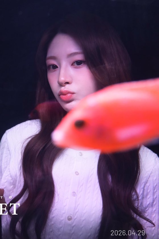 세광이(상태:독두꺼비) tweet media