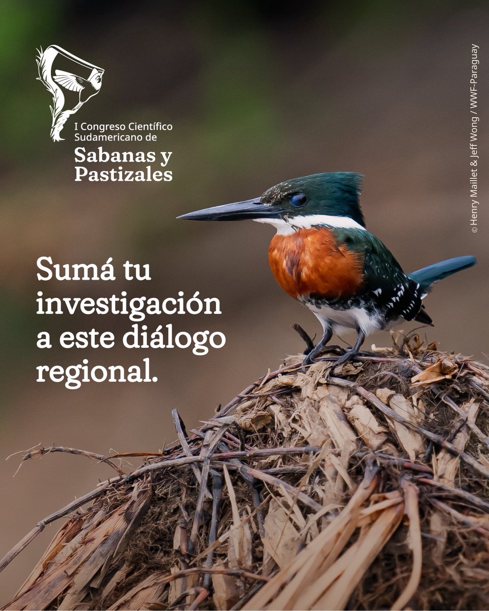 WWF-Paraguay tweet media