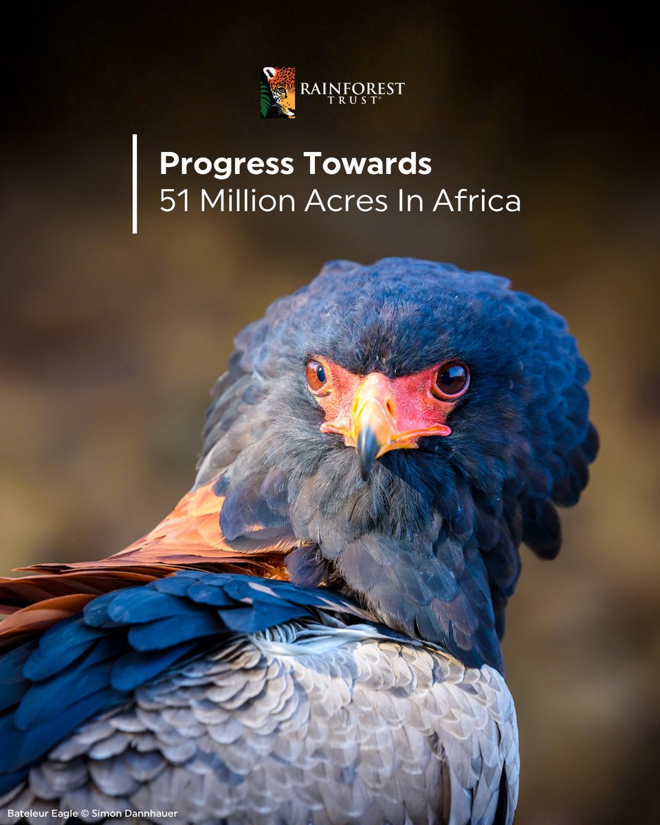 Rainforest Trust tweet media
