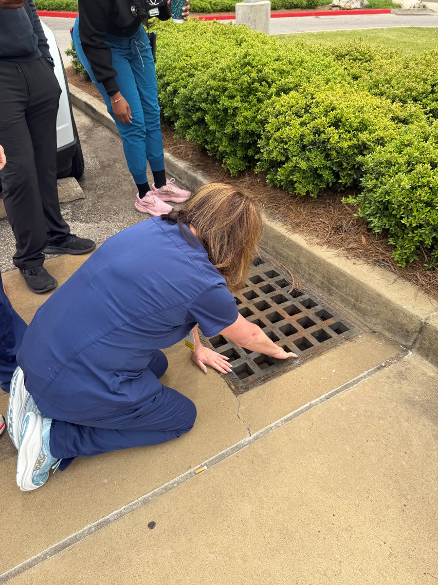 MethodistHlth's tweet photo. At Methodist University Hospital, ED staff and Facilities Services teamed up to rescue 10 baby ducks stuck in a drain, reuniting them with their mama duck. https://t.co/X4CDHp6Vtf