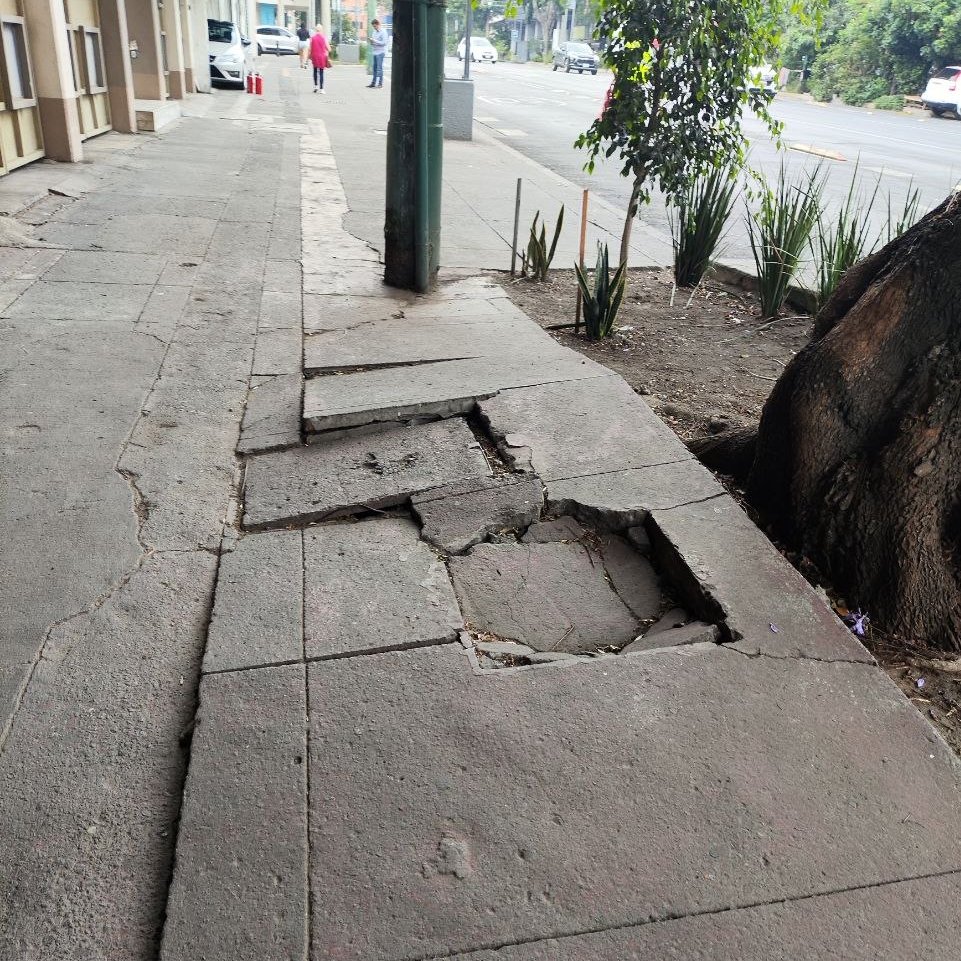 ReportesBenito's tweet photo. Solicitamos su ayuda @SOBSECDMX @locatel_mx para la reparación de esta #Banqueta en José María Rico #155 de la colonia #Actipan en la @BJAlcaldia ya que las raíces de los arboles afectan y comienzan a romper no solo la banqueta sino el #registro

#alcaldiabj #BenitoJuarez #ReportesBJ