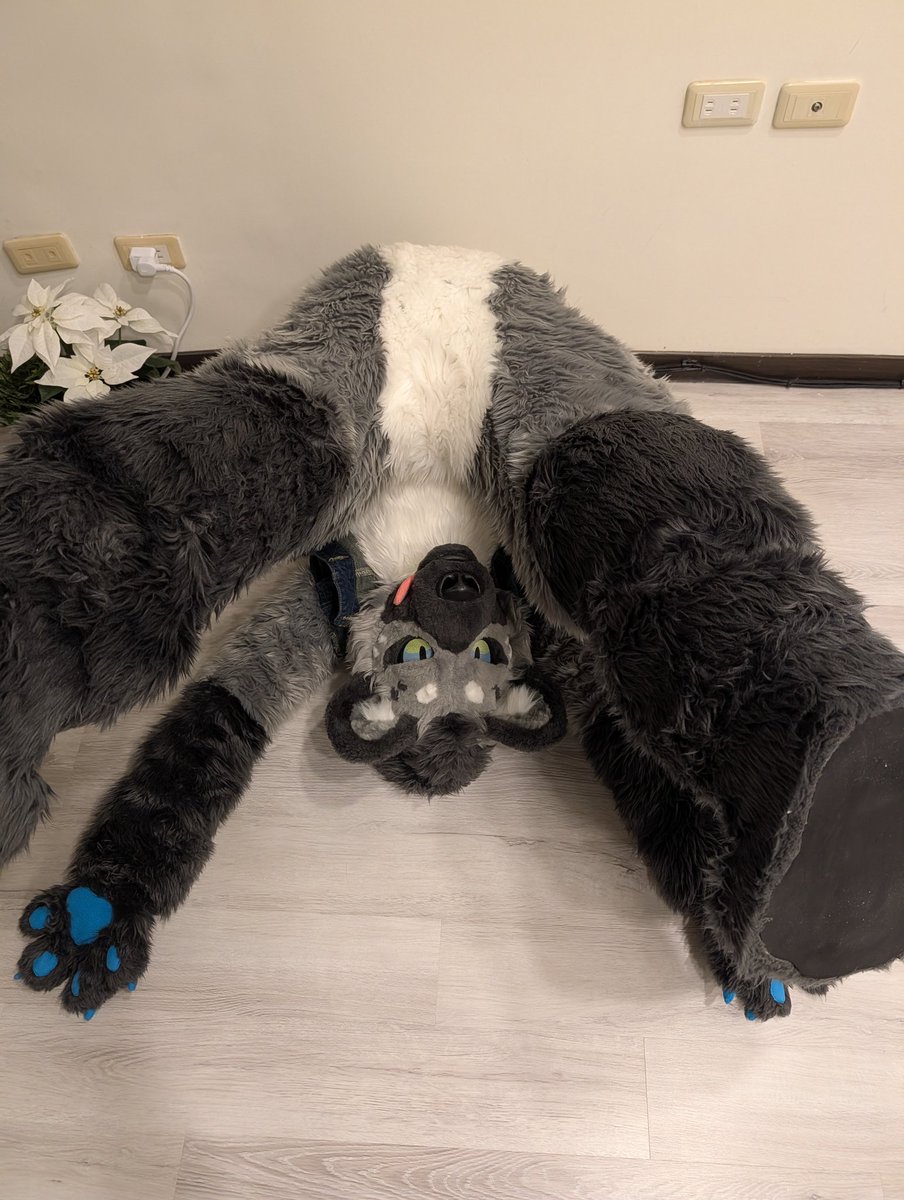 謝謝前輩😋 📷 @MalicxFox