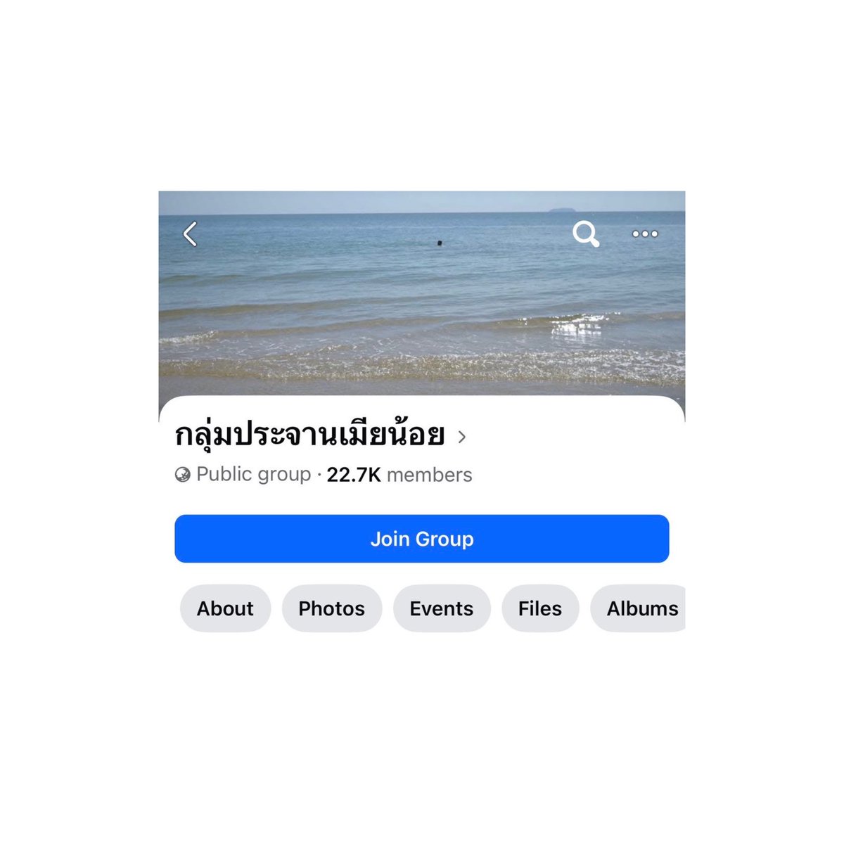 𝘱𝘰𝘳𝘱𝘰𝘳. 𝜗𝜚꙳.* tweet media