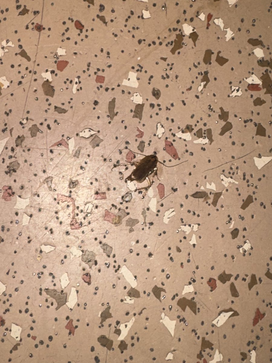 _4d1ty4_0's tweet photo. I'm travelling in Tejas Rajdhani saw some cockroaches in my coach i really doubt the hygiene of the train this was not my expectation from tejas rajdhani @IRCTCofficial @AshwiniVaishnaw https://t.co/VQz7accu8i