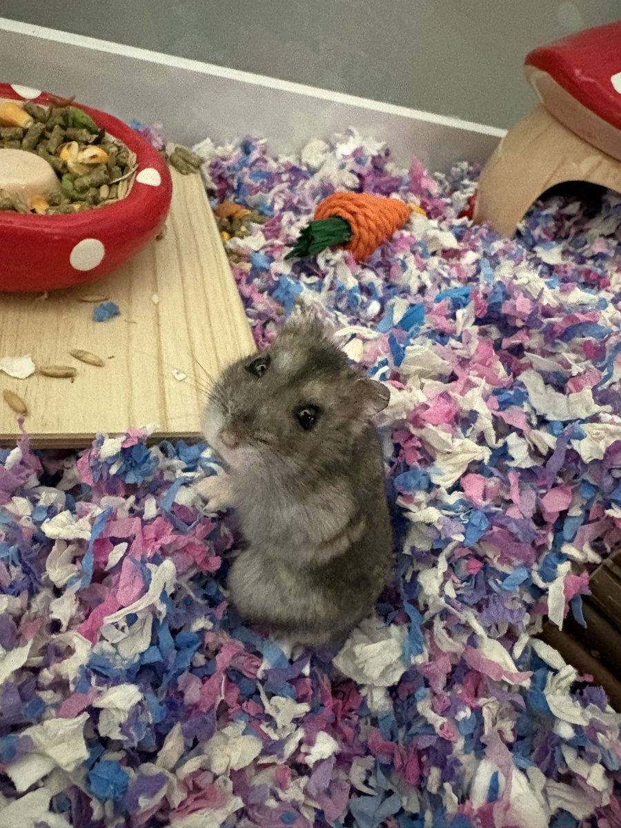 imdaddyrabbit's tweet photo. She’s actually really entertaining https://t.co/C1vHGyrE3d
