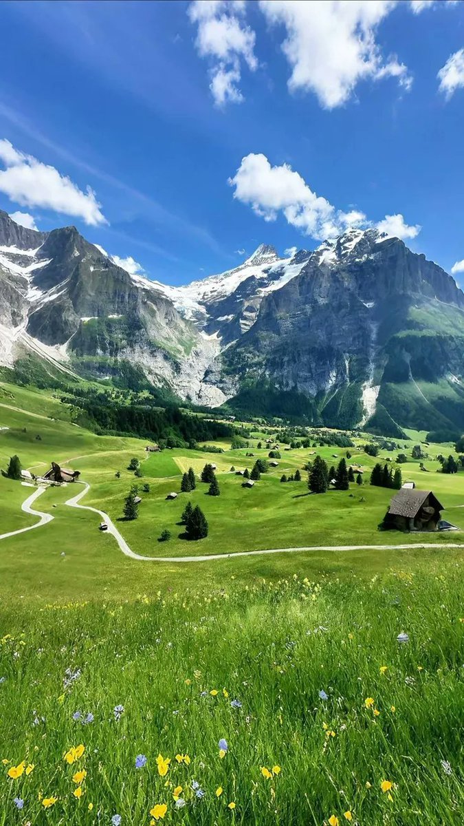 Beauty Of Earth tweet media