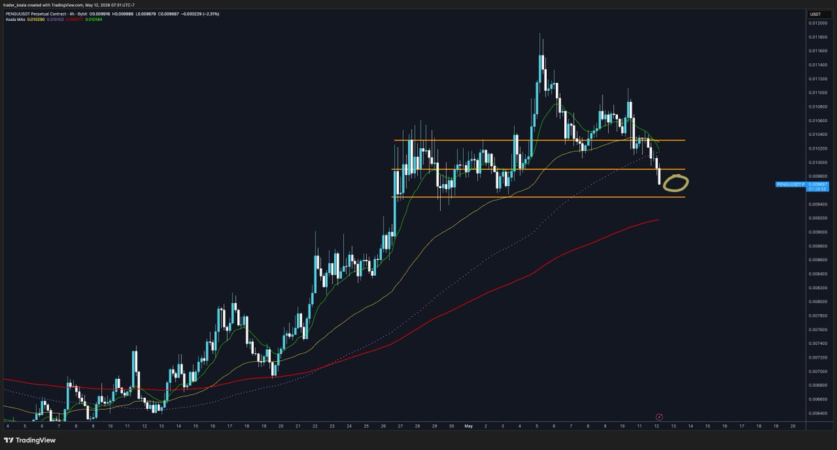 Trader Koala tweet media
