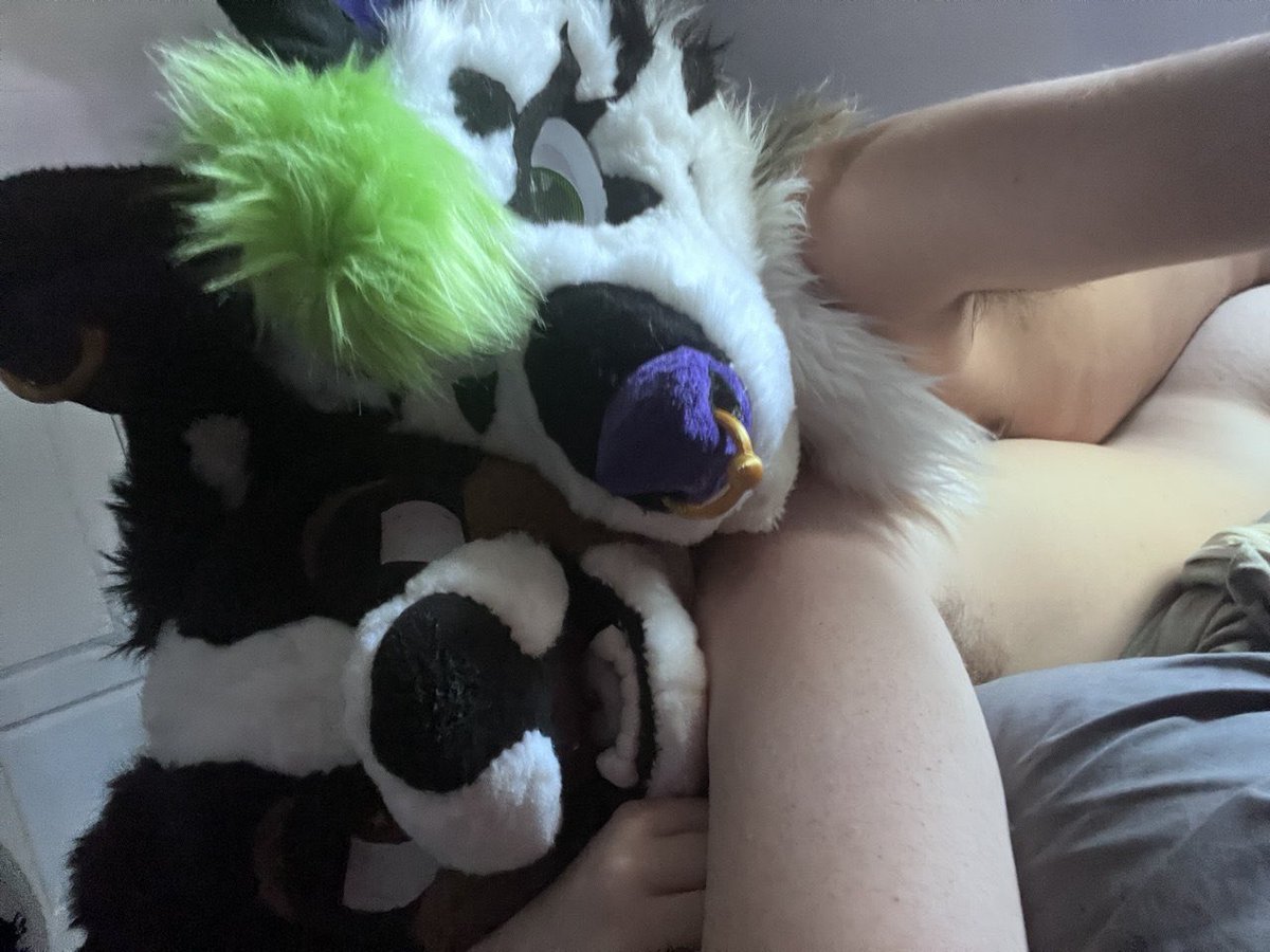 TheFuzzybud's tweet photo. Gotta have ya over again @beetlepossum https://t.co/ReD4NIN3MF