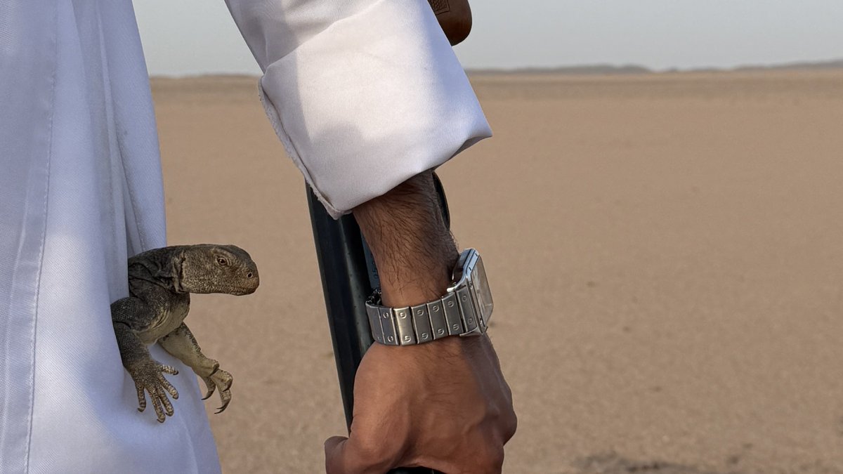lliuu8_'s tweet photo. ماجتني الدنيا على الكيف يامثيب
    دنياك هاذي ذوقتنا المراره

الارزاق لو انها بـ ضرب المشاعيب
حولتك انت وابوك من ذا العماره

— زرعان ابن سعود https://t.co/aQX7wtmm16