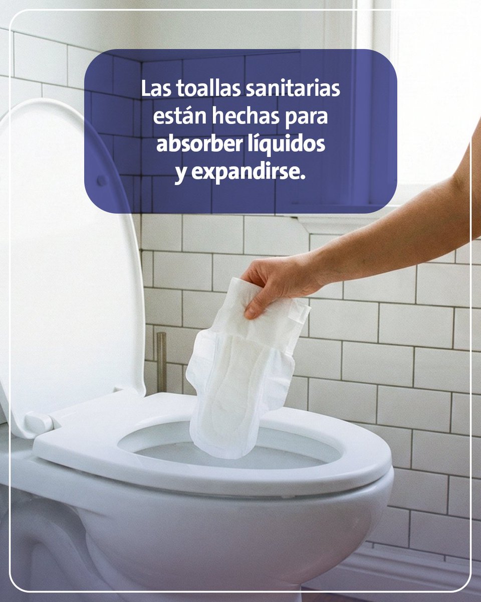 interagua's tweet photo. Las toallas sanitarias no son inofensivas en las tuberías ni en el alcantarillado. 🩸😥
No las tires por el inodoro y evita taponamientos.

¡Juntos, el agua sigue!

#Interagua #ElAguadelosGuayaquileños #JuntosElAguaSigue https://t.co/8Y5i7875mU