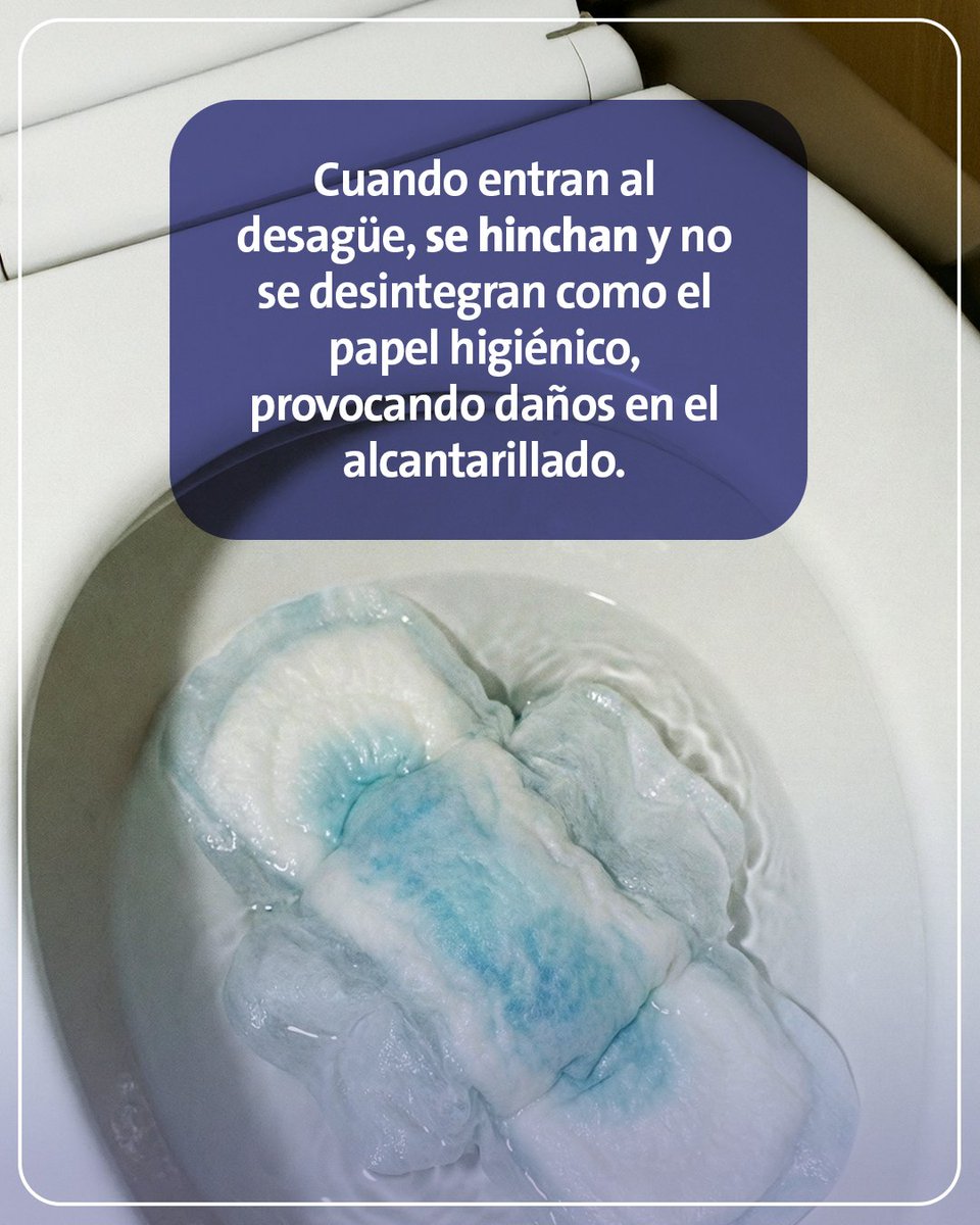 interagua's tweet photo. Las toallas sanitarias no son inofensivas en las tuberías ni en el alcantarillado. 🩸😥
No las tires por el inodoro y evita taponamientos.

¡Juntos, el agua sigue!

#Interagua #ElAguadelosGuayaquileños #JuntosElAguaSigue https://t.co/8Y5i7875mU