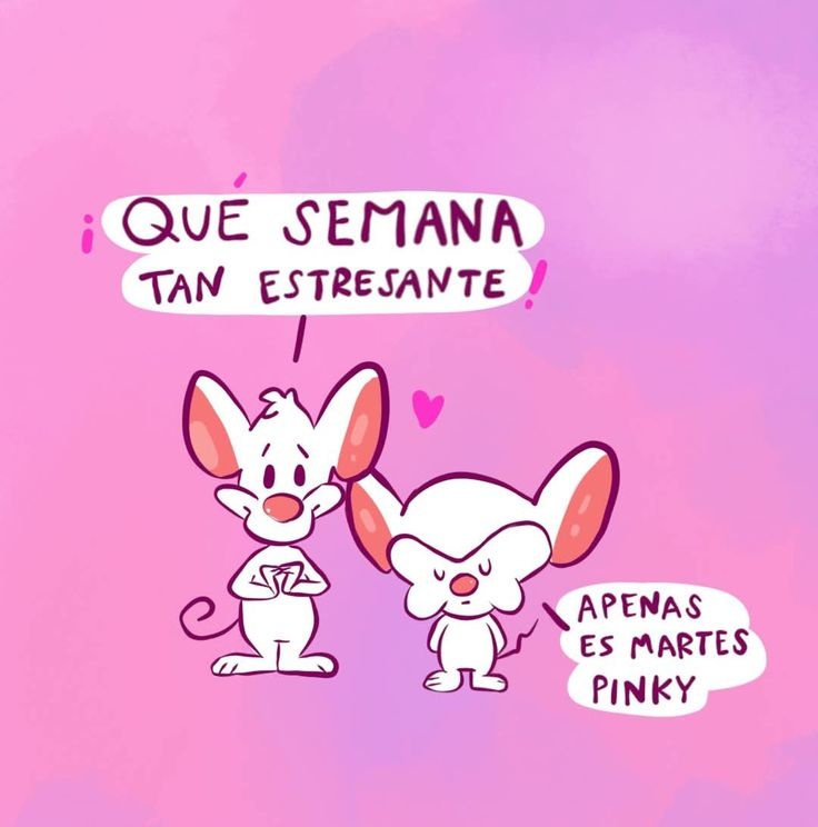 Días queridos 🫶🏻