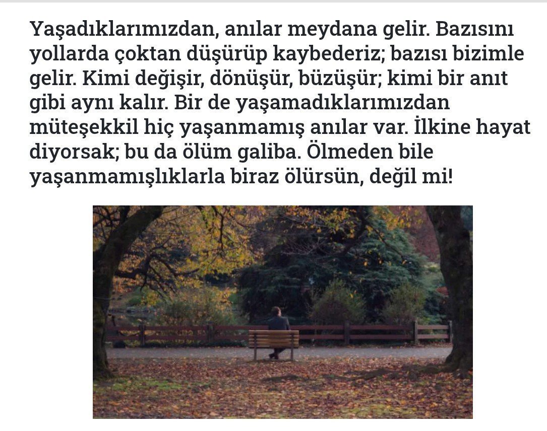 zamanzamannemo tweet media