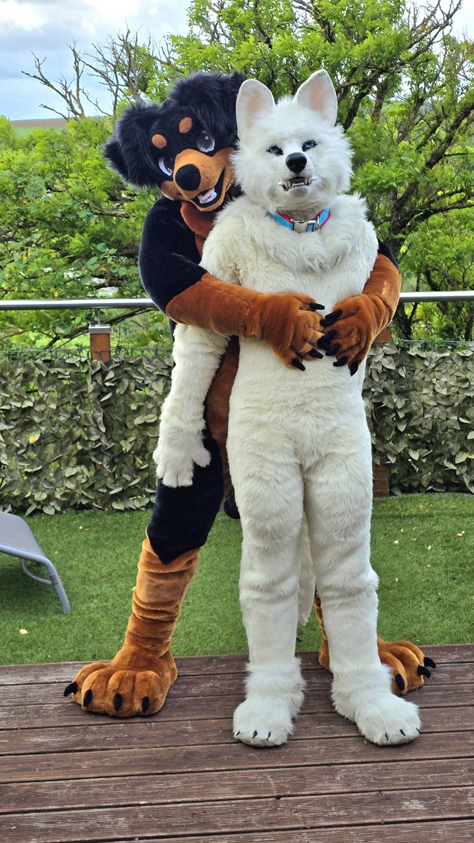 Doggy_Bronco's tweet photo. A fantastic day with @Manchu_Wolf
Thank you very much. 🐾🥰 https://t.co/neL8oO6hN8