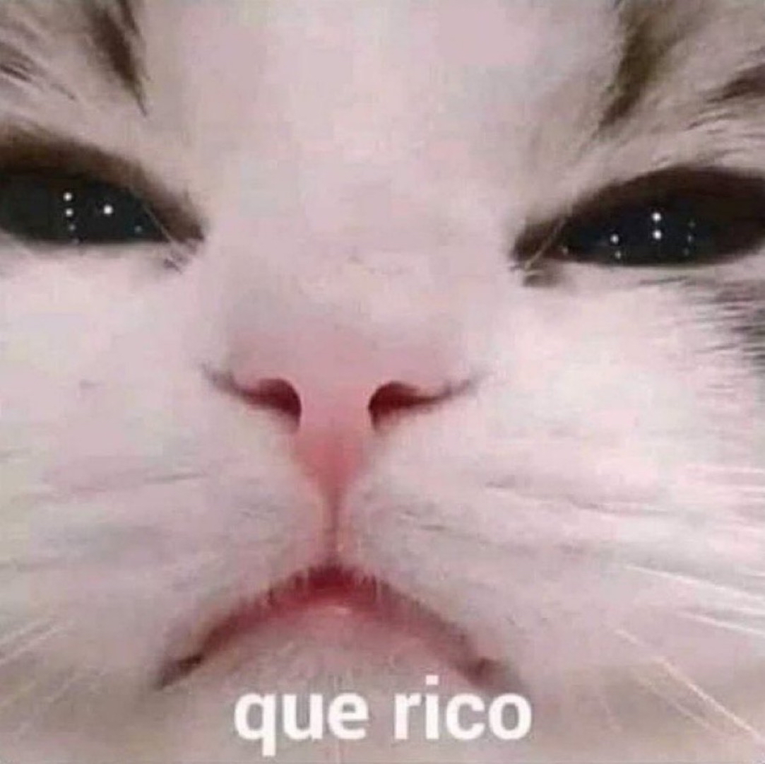 Guarromantico_'s tweet photo. Cuando tomo el primer sorbo de mi café de la mañana. https://t.co/yY47fcnXCR