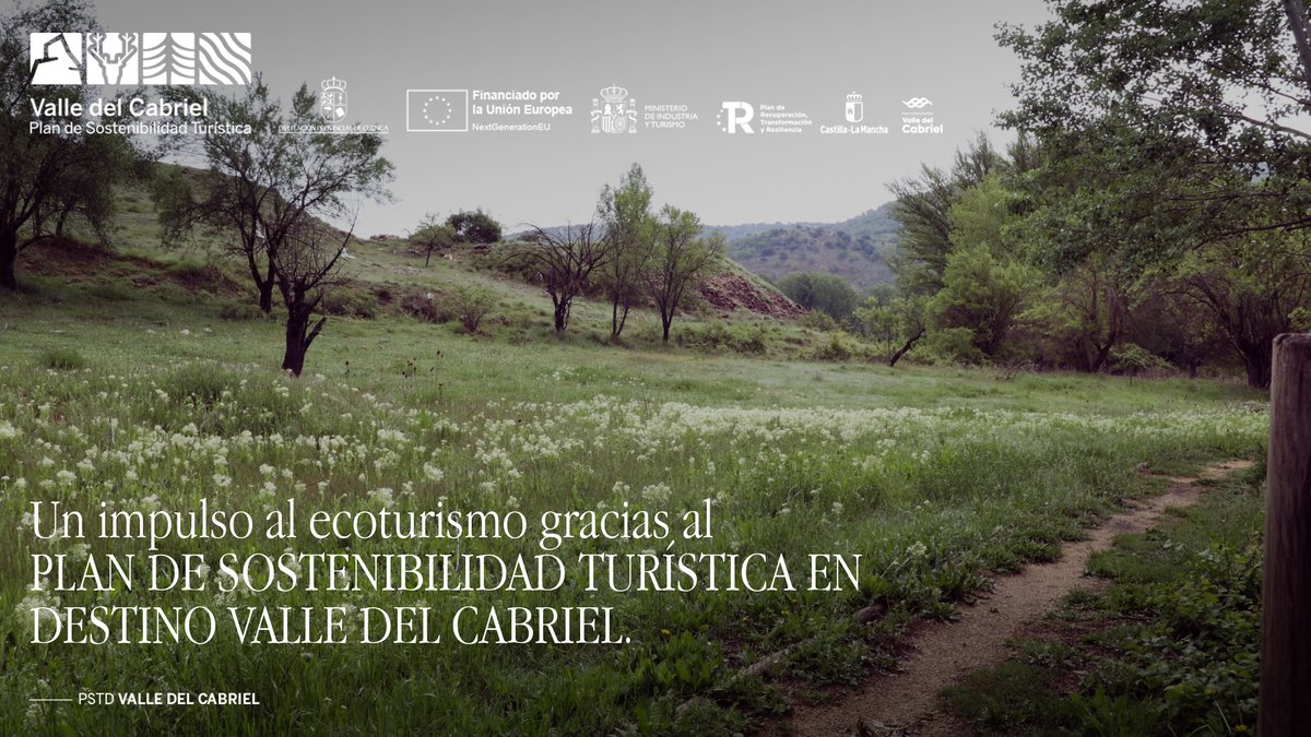 Valle_Cabriel's tweet photo. 𝗖𝗮ñ𝗲𝘁𝗲 𝗿𝗲𝗰𝘂𝗽𝗲𝗿𝗮 𝗹𝗮 𝗦𝗲𝗻𝗱𝗮 𝗱𝗲𝗹 𝗠𝘂𝘀𝗲𝗼 🌳
Un espacio natural que estaba cubierto por la maleza y que hoy vuelve a llenarse de vida gracias al #PSTD Valle del Cabriel.

🍀Más biodiversidad
🥾 Más ecoturismo
🦟 Hoteles de insectos para proteger el ecosistema https://t.co/55c6UFqb4T