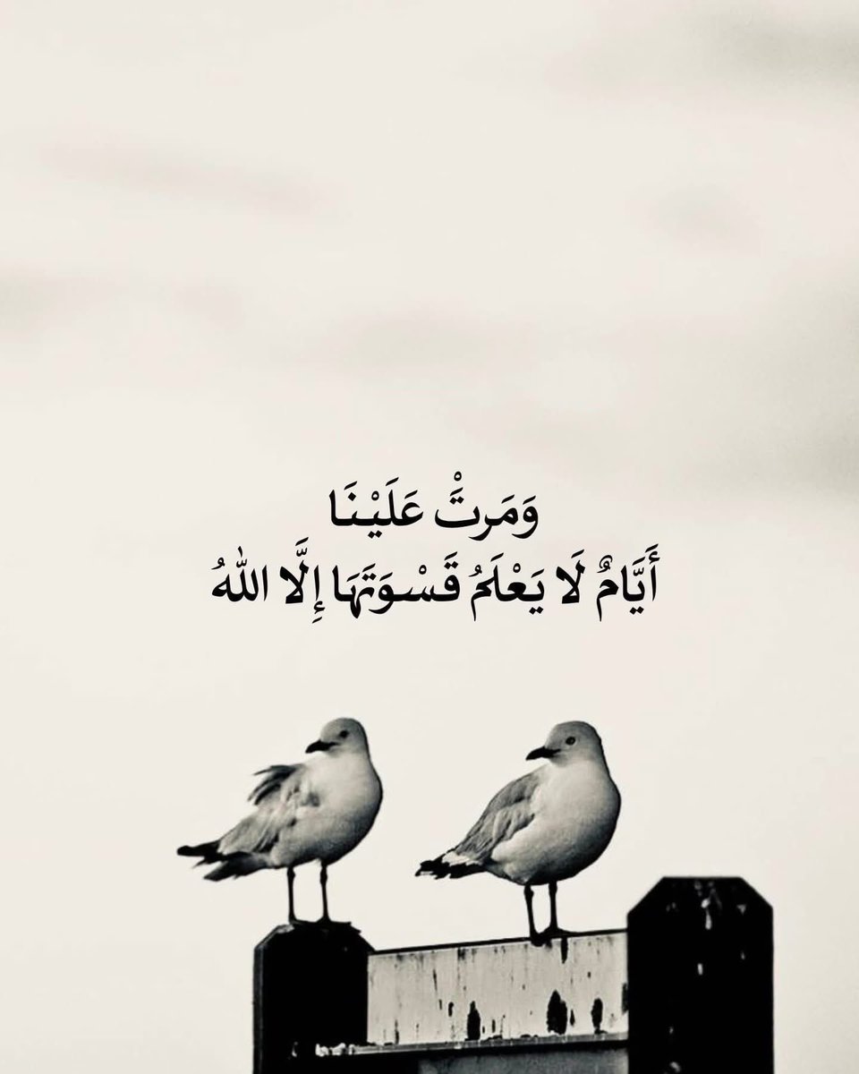 الحمد لله🤗 tweet media