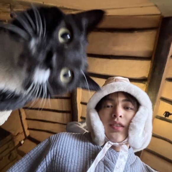 mai 🐈‍⬛ tweet media