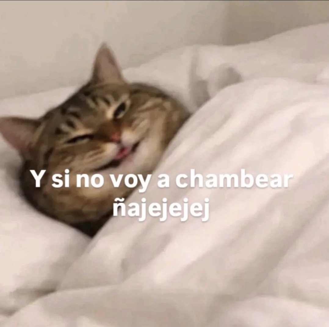 roxxmik's tweet photo. Primer aviso https://t.co/63VNm1DvWM
