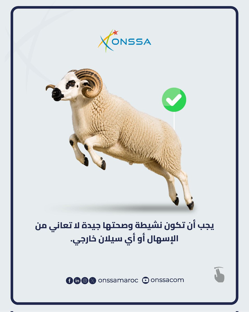 المكتب الوطني للسلامة الصحية للمنتجات الغذائية tweet media