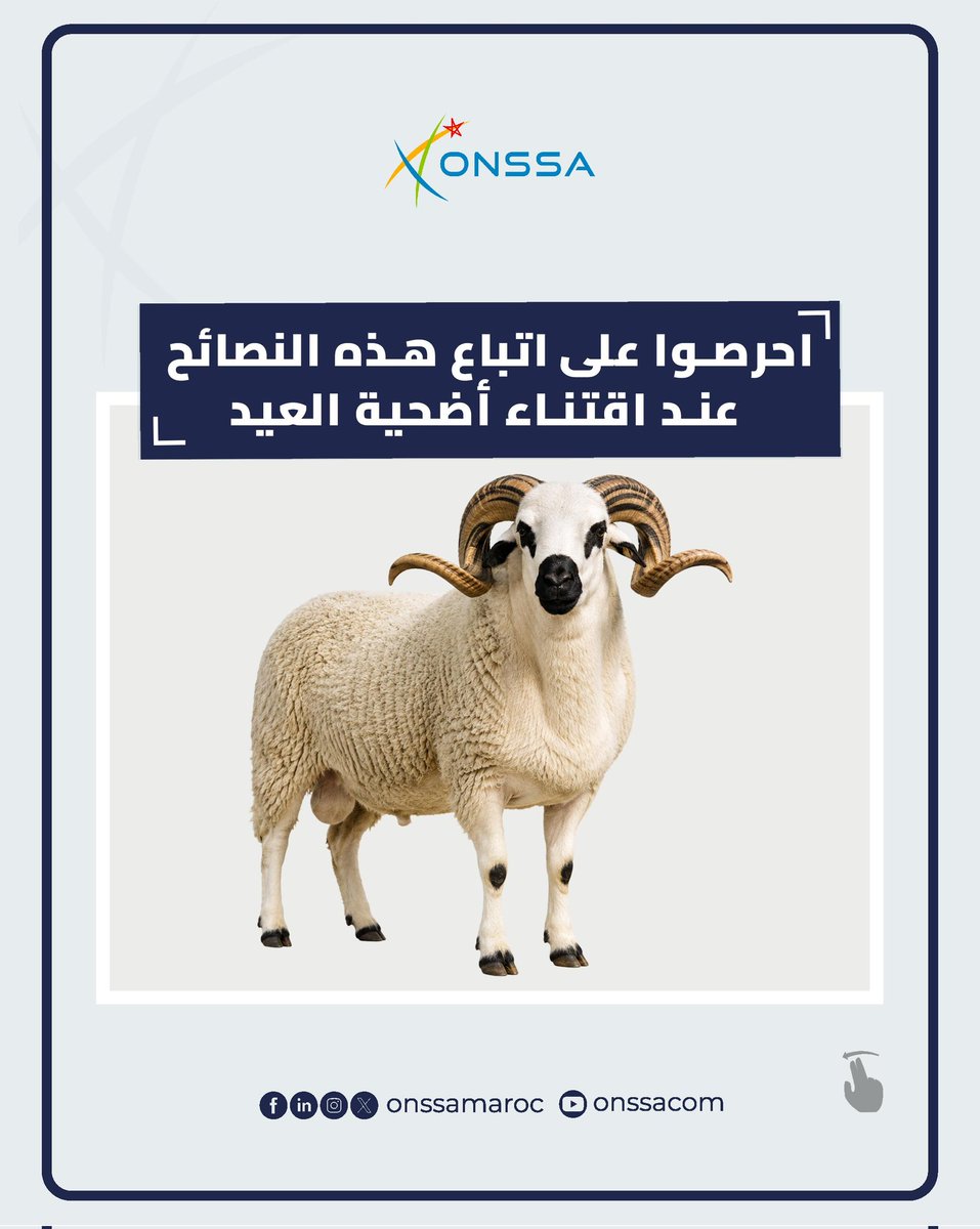 المكتب الوطني للسلامة الصحية للمنتجات الغذائية tweet media