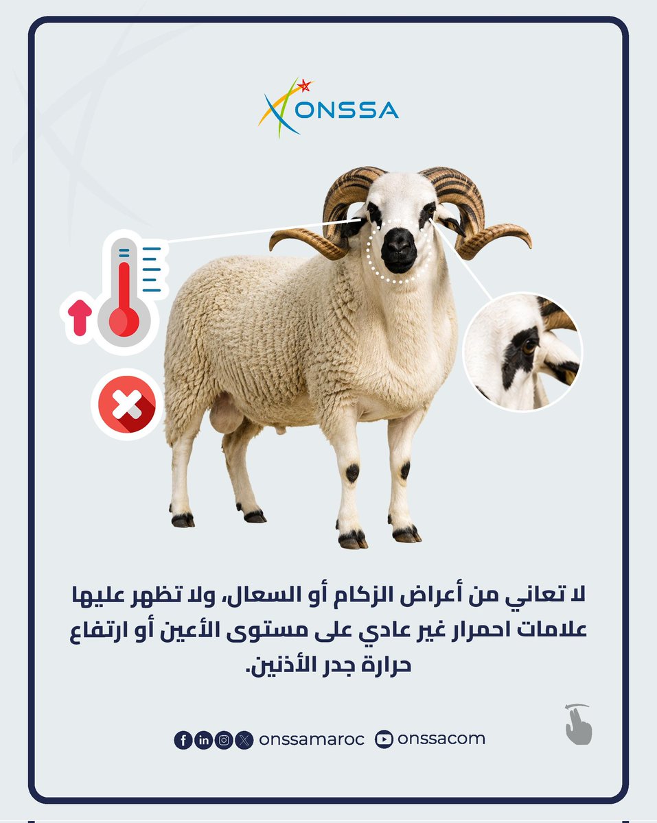 المكتب الوطني للسلامة الصحية للمنتجات الغذائية tweet media
