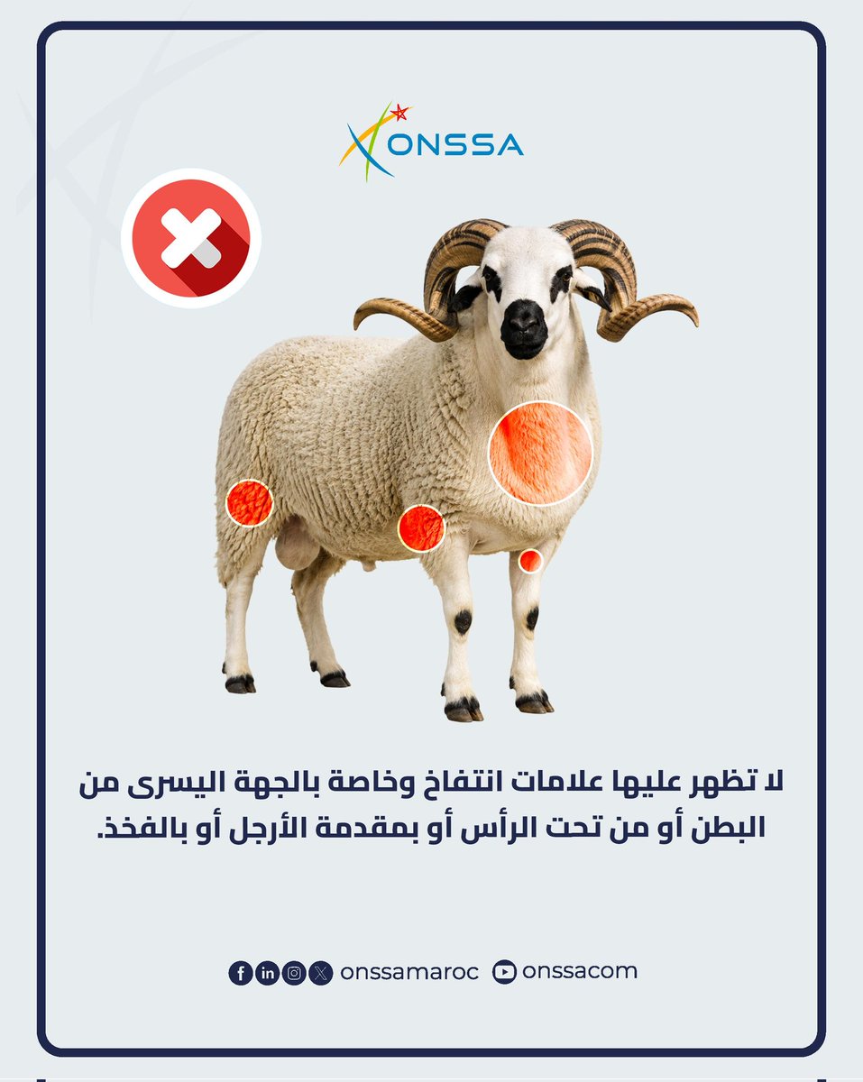المكتب الوطني للسلامة الصحية للمنتجات الغذائية tweet media