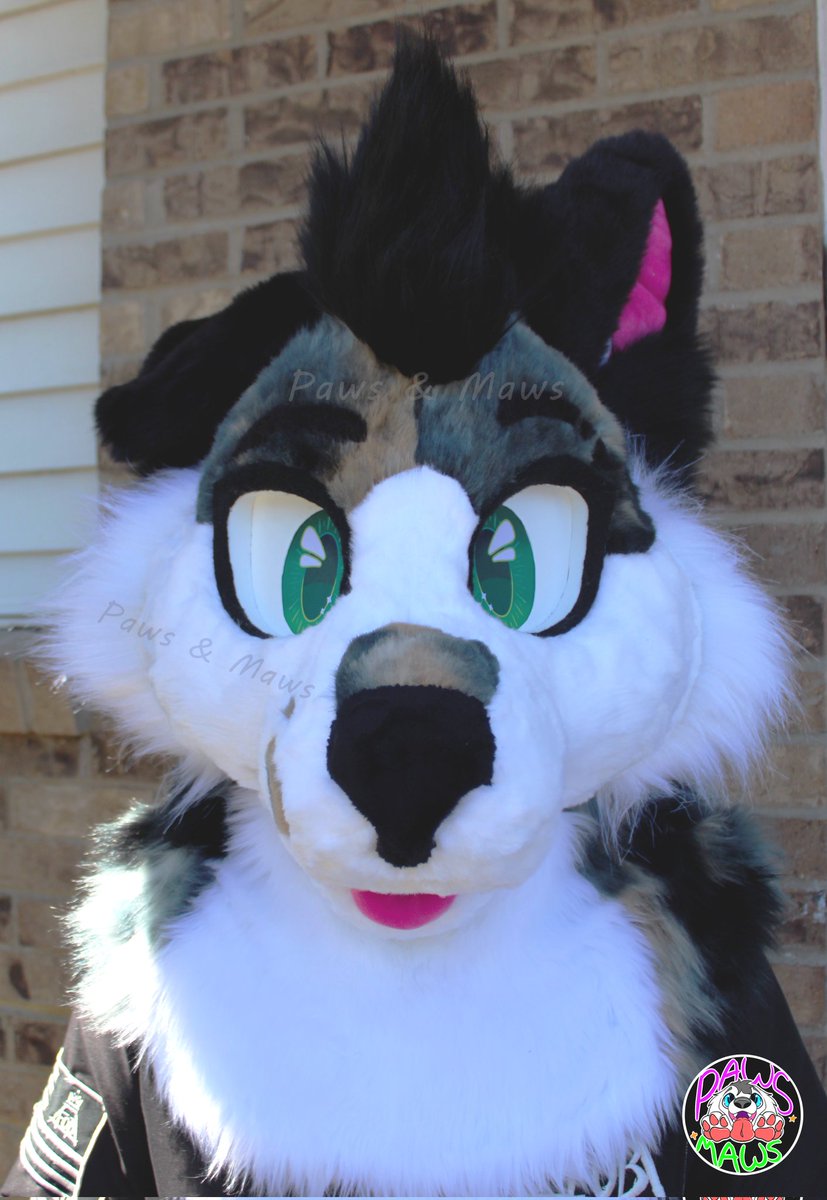Paws_and_Maws's tweet photo. Ryker 2.0 is done ✅️ Photos of the fullsuit from owner soon! 💚

Some of his features: 
- 100% hand carved base
- Dye subbed eyes designed by me, printed by OtterHalf Costumes
- Weighted floppy ear
- Pickable nose
- 2 sets of velcro eyelids
- Hidden airtag pocket https://t.co/CbKbAEF7Af