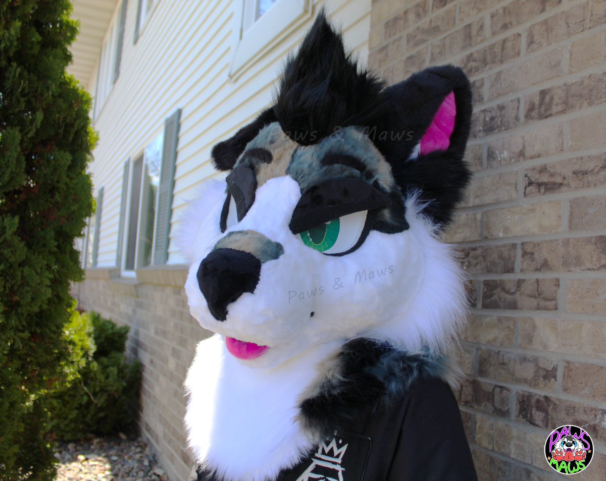 Paws_and_Maws's tweet photo. Ryker 2.0 is done ✅️ Photos of the fullsuit from owner soon! 💚

Some of his features: 
- 100% hand carved base
- Dye subbed eyes designed by me, printed by OtterHalf Costumes
- Weighted floppy ear
- Pickable nose
- 2 sets of velcro eyelids
- Hidden airtag pocket https://t.co/CbKbAEF7Af