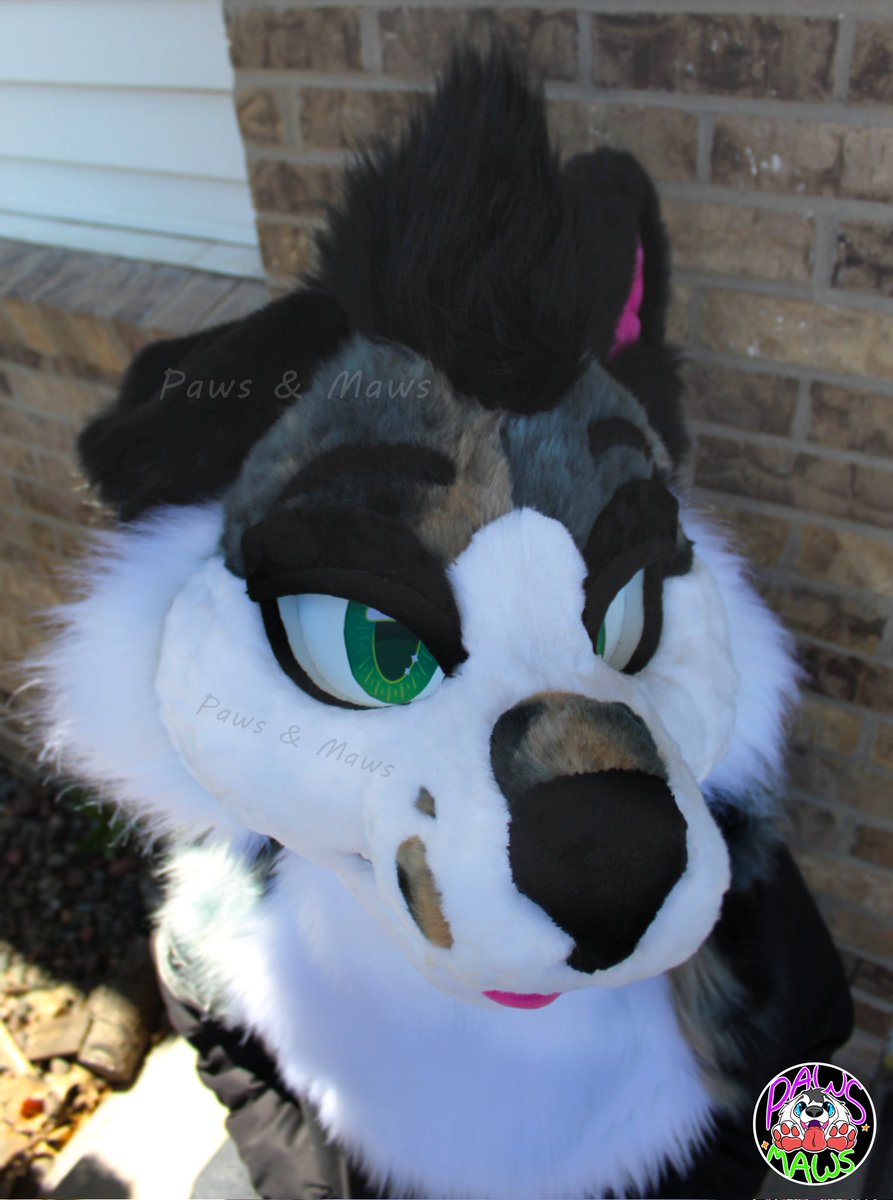 Paws_and_Maws's tweet photo. Ryker 2.0 is done ✅️ Photos of the fullsuit from owner soon! 💚

Some of his features: 
- 100% hand carved base
- Dye subbed eyes designed by me, printed by OtterHalf Costumes
- Weighted floppy ear
- Pickable nose
- 2 sets of velcro eyelids
- Hidden airtag pocket https://t.co/CbKbAEF7Af