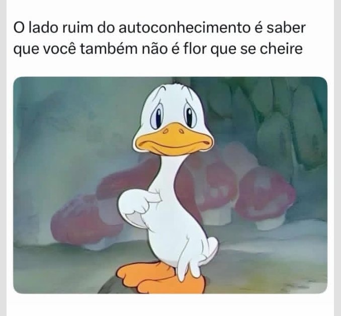 teu caos tweet media