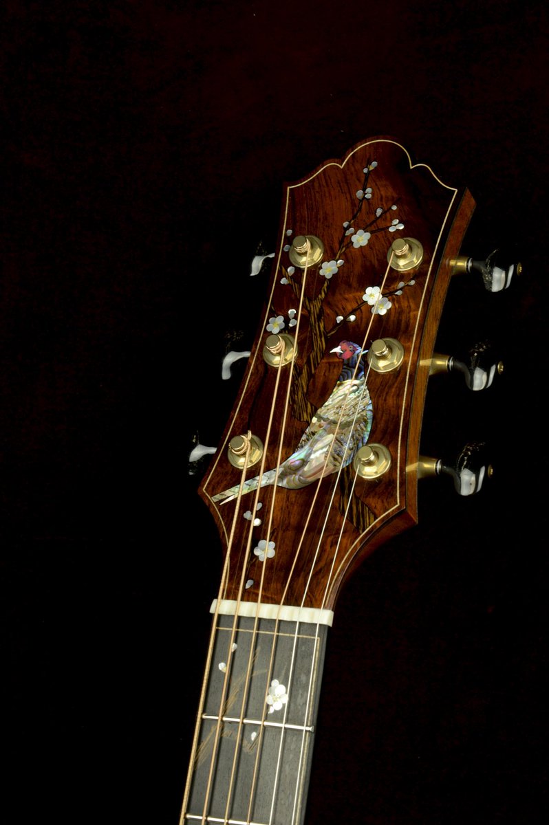Keystone Stringed Instruments tweet media